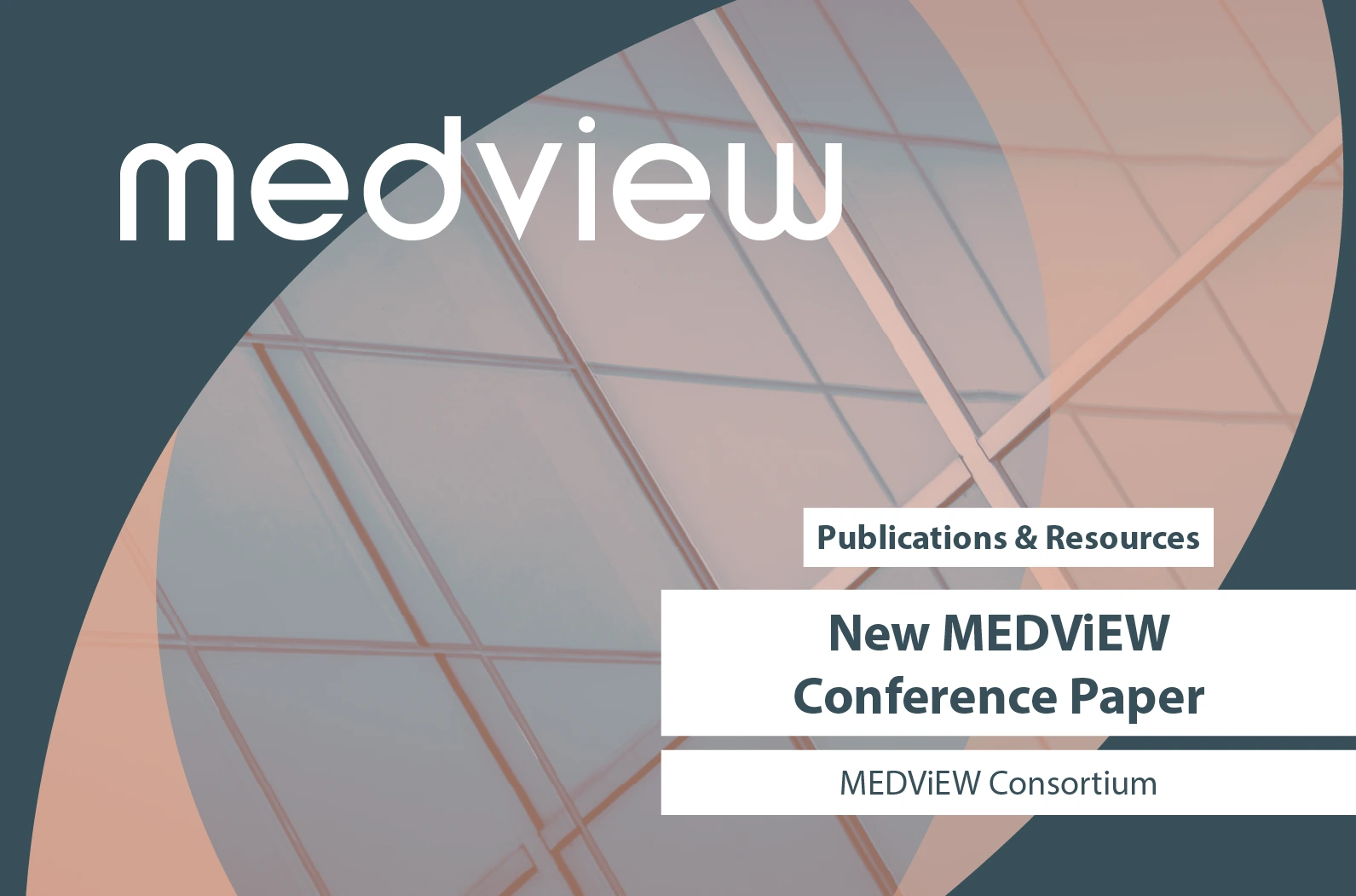 New MEDViEW Conference Paper